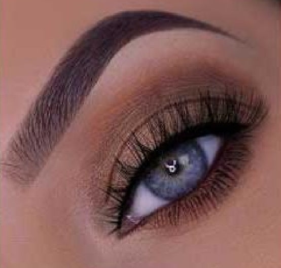 Strip lash starter kit